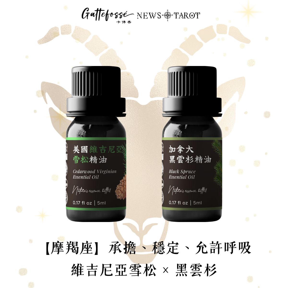【摩羯座】乾燥木質 × 清新針葉｜維吉尼亞雪松 × 黑雲杉精油組