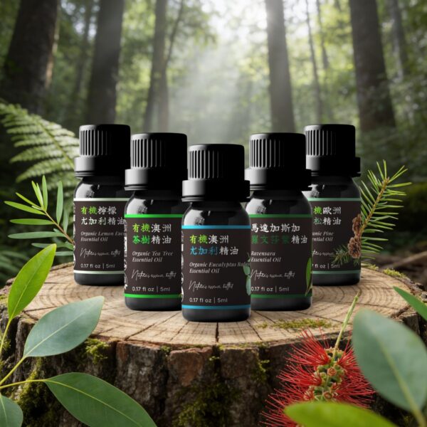 ④ 呼吸淨化系｜空氣清新守護組 Ⓐ <br>澳洲茶樹 × 澳洲尤加利 × 羅文莎葉 × 檸檬尤加利 × 歐洲赤松精油組
