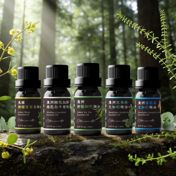 ④ 呼吸淨化系｜深層呼吸升級組 Ⓑ <br>檸檬細籽（茶樹） × 史泰格尤加利 × 桉油醇綠花白千層 × 袋鼠島尤加利 × 檸檬百里香精油組