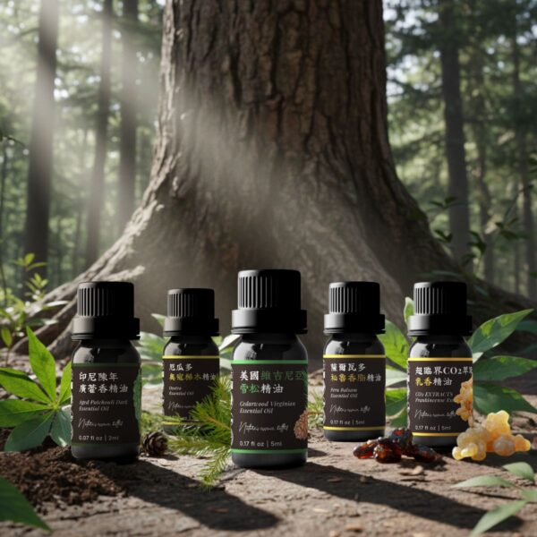 ⑤ 木質穩定系｜接地重整組 Ⓑ <br>陳年廣藿香 x 維吉尼亞雪松 x 乳香 x 奧寇梯木 x 秘魯香脂精油組