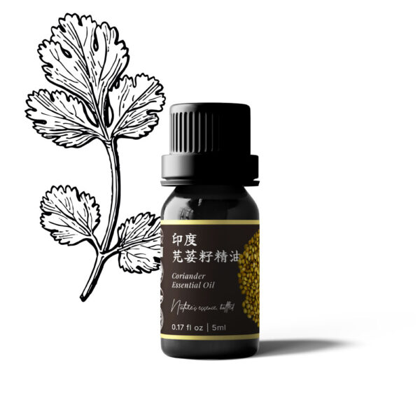 印度芫荽籽精油